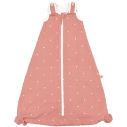 Ergobaby Vreća za spavanje s nogavicama Rose Hearts (18-36/L) TOG 1 Cijene