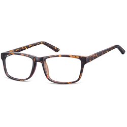 Berkley Berkeley naočare za kompjuter CP155 A Cene