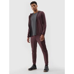 4f Men's Quick Dry Sports Pants - Brown Cene