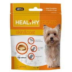 Healthy Treats Skin And Coat 70g Cene