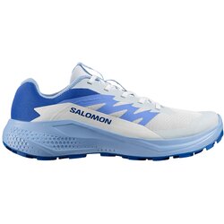 Salomon Alphaglide patike Cene