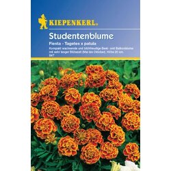 KIEPENKERL Žametnica "Fiesta" Cene
