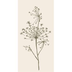 IB Laursen Papirnate serviete "Kobulasto socvetje" - 16 k. Cene