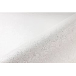 RENOLIT ALKORPLAN Bazenska folija Relief - bela, 1 kos - Debelina 1,8 mm / 25 x 1,65 m / 41,25 m² Cene