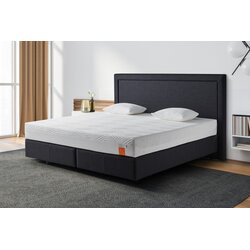 Tempur vzmetnica original supreme 21 Cene