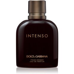 Dolce&gabbana Pour Homme Intenso parfumska voda 125 ml za moške Cene