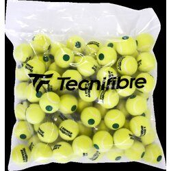 Tecnifibre loptice Stage 1 72x Cene