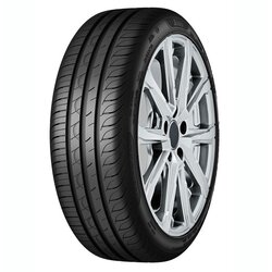 Sava Guma 205/55r17 95w xl controlmax tl ljetne gume Cijene