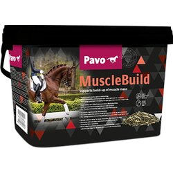 Pavo MuscleBuild Cene