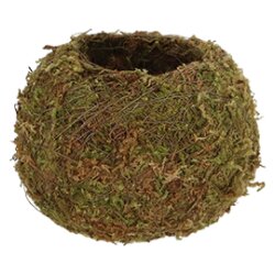 Esschert Design Kokedama krogla - S Cene