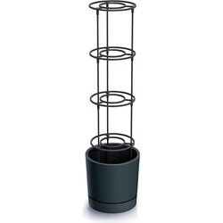 Home Grower" lonec za gojenje paradižnika z oporo za vzpenjanje, antracitna - ⌀ 29 cm Cene