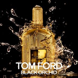 Tom Ford black Orchid parfem 100 ml unisex Cene
