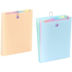 Viquel Expanding organizer sa 6 pregrada i gumicom Rainbow P Cene