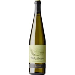 Muller Thurgau Concilio Cene