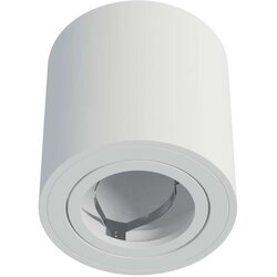 LED-LABS Stropna nadometna svetilka OREA - bela Cene