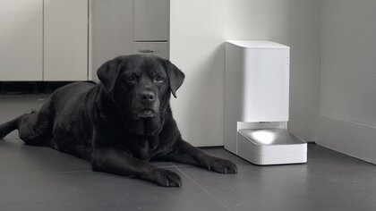 Xiaomi smart pet video test