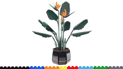 Lego Bird of Paradise video test