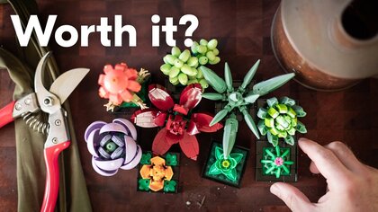 Lego Succulents video test