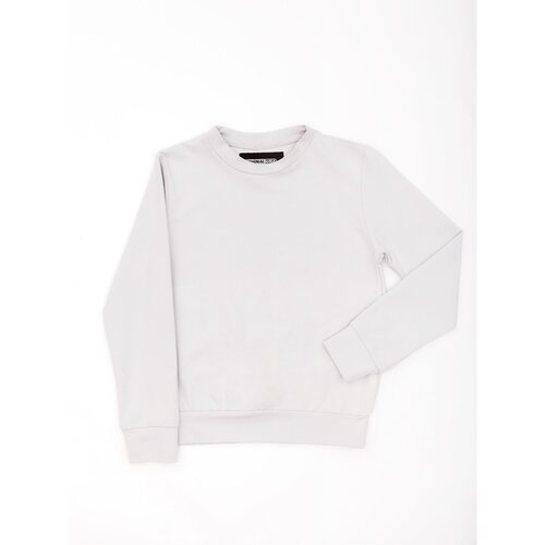Fashion Hunters Light gray basic hooded sweatshirt for young people Slike
