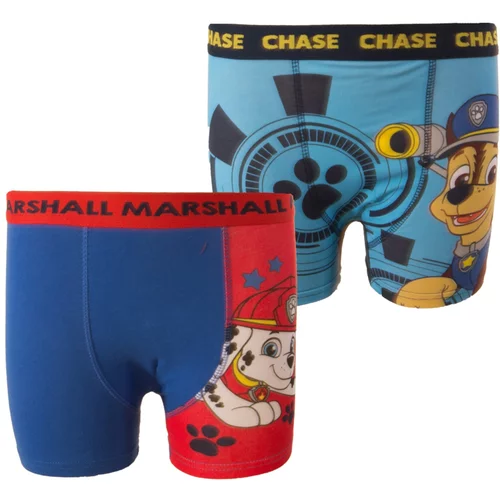 Character Boy's boxer briefs Paw Patrol 2P- Frogies