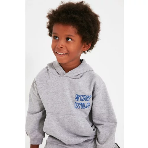 Trendyol Gray Embroidered Basic Hoodie Boy Knitted Thin Sweatshirt