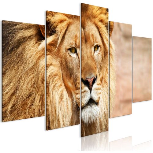  Slika - The King of Beasts (5 Parts) Wide Orange 100x50 Slike