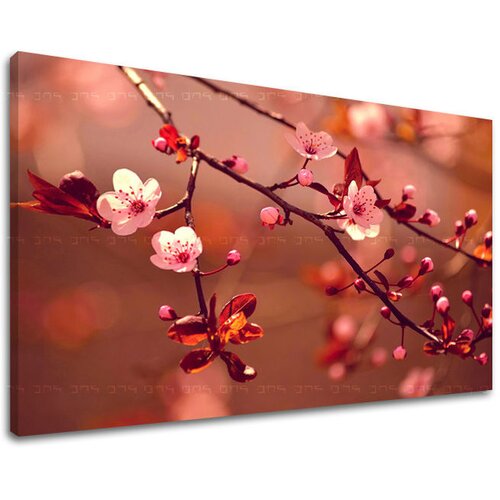  Slike na platnu cveće  (moderne slike na platnu) Cene