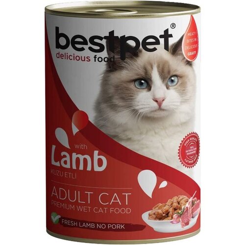 BESTPET hrana za odrasle mačke, jagnjetina u sosu, 400g Cene