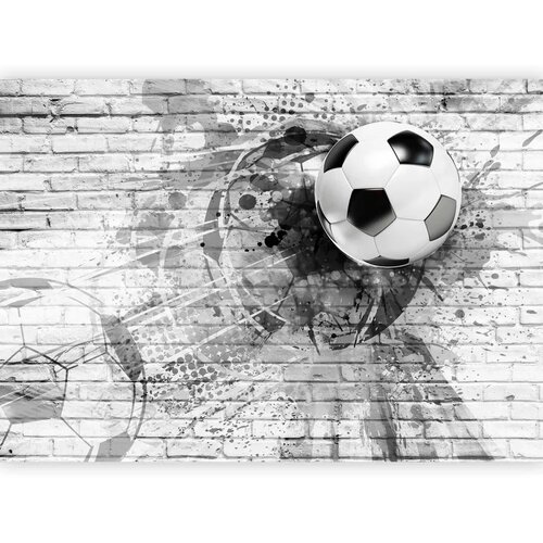  Foto tapeta - Dynamic Football 150x105 Vodootporna Cene
