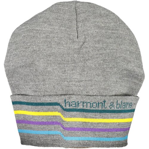 HARMONT &amp;amp;amp; BLAINE HARMONT &amp;amp; BLAINE GRAY MEN&amp;amp;#39;S BEANIE Slike
