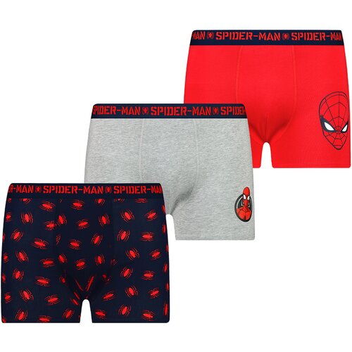 Frogies Men's boxer Spiderman 3P Cene