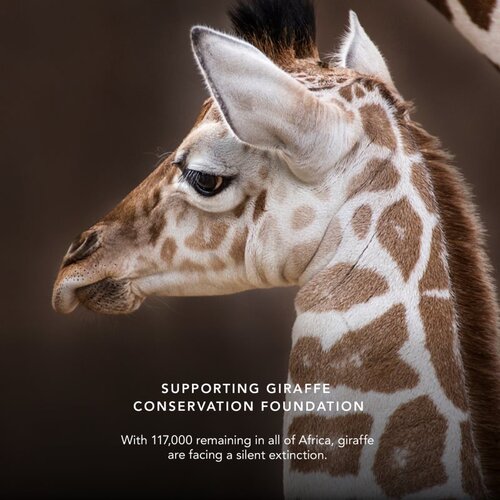 Chantecaille Luminescent Eye Shades biserno sjenilo za oči Giraffe 2.5 g Slike