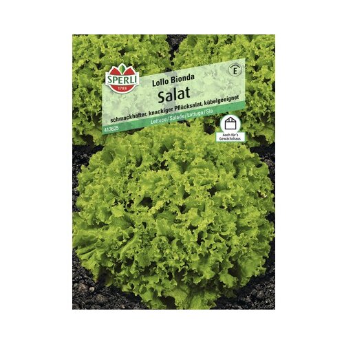 SPERLI Sjeme salate (Lollobionda, Lactuca sativa, Berba: Travanj - Listopad) Slike