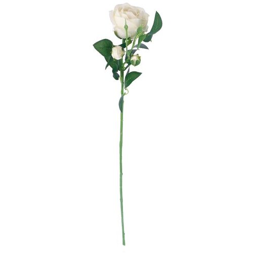 Ruža 71CM BIJELA PVC 80038 Slike