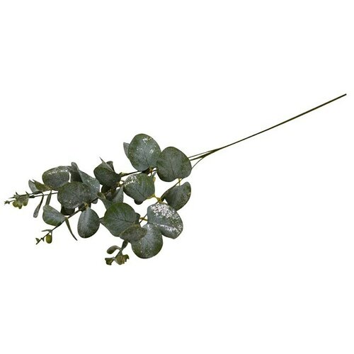  Grana eukaliptus (59 cm, Plastika) Cene
