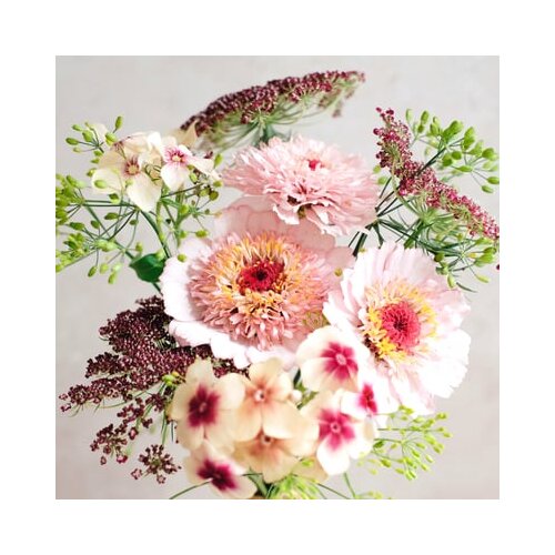 Jora Dahl Wild Bouquet "Pink Caramel Collection" Cene