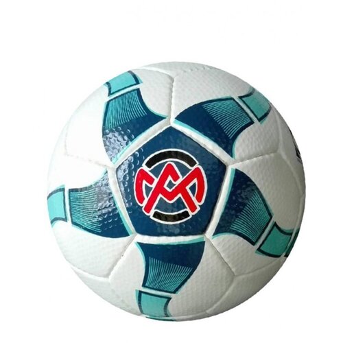 AMsport Fudbalska lopta Tampa I Cene