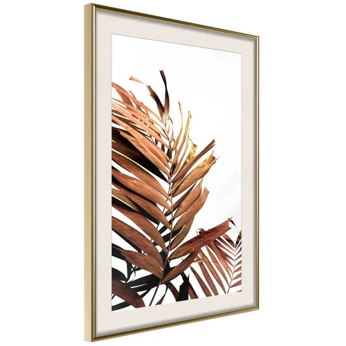  Poster - Copper Palm 40x60