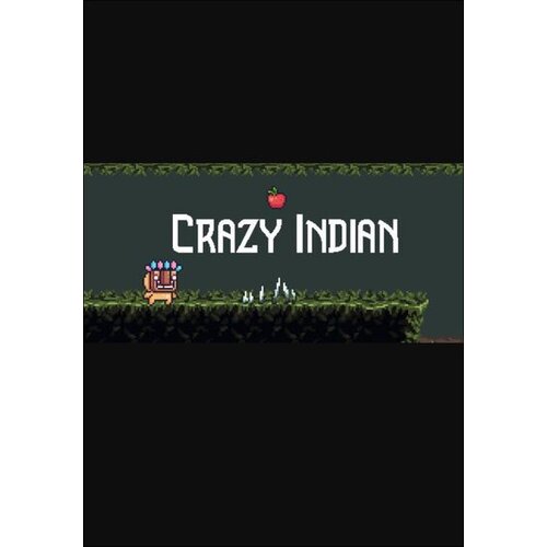 Steam Crazy indian (PC) Key GLOBAL Cene