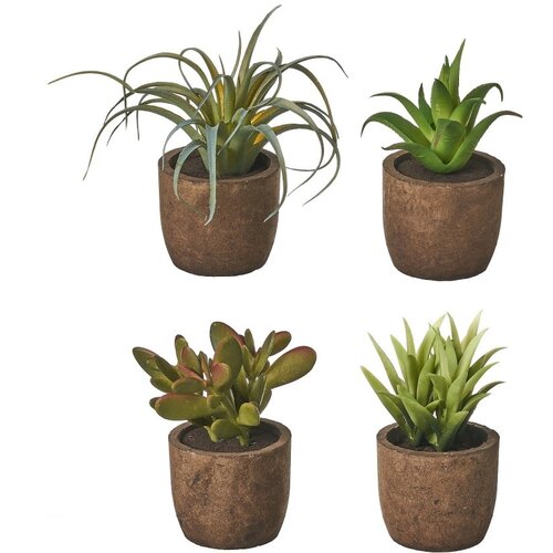 Casa Selección Umjetne biljke u setu 4 kom Cactus – Cijene