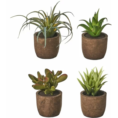 Casa Selección Umjetne biljke u setu 4 kom Cactus –