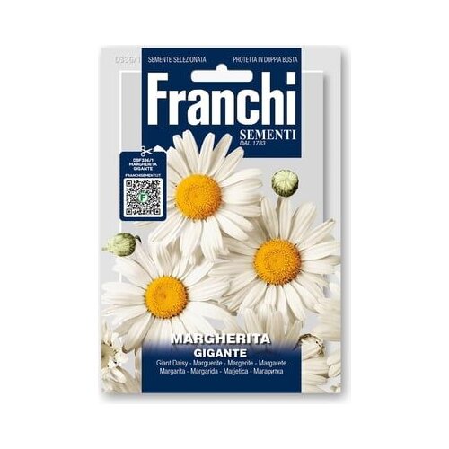 FRANCHI SEMENTI Ivanj&amp;scaron;čica &amp;quot;Gigante&amp;quot; Slike