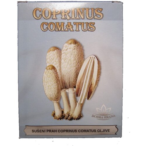 Dobra hrana Su&scaron;eni prah Coprinus comatus gljive 50g, DH Cene