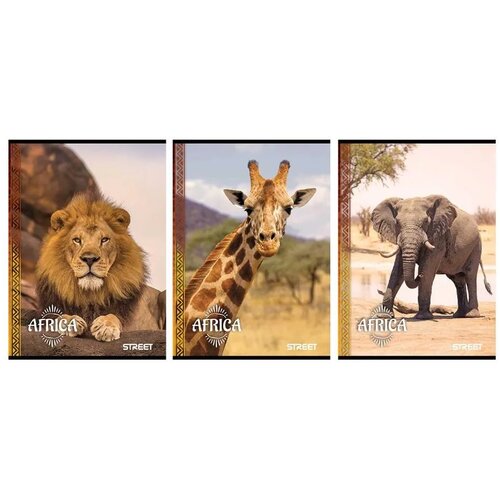 STREET Zvezek Africa A4 brez črt Cene