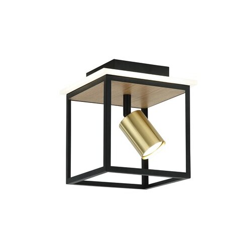  forma led plafonska lampa FG152-1 bk+wd Cene