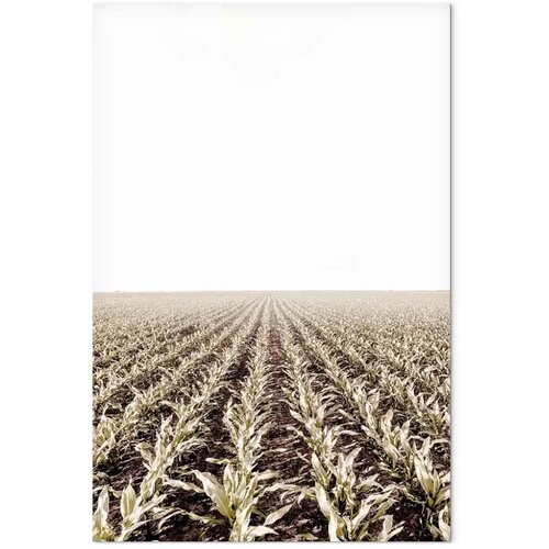  Slika - Corn Field (1 Part) Vertical 60x90 Na talijanskom platnu Cijene