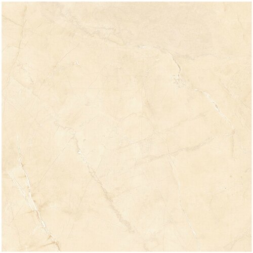 Ocean Gres ploščica Asia Wood (60 x 60 cm, bež, posteklena, sijaj) Cene