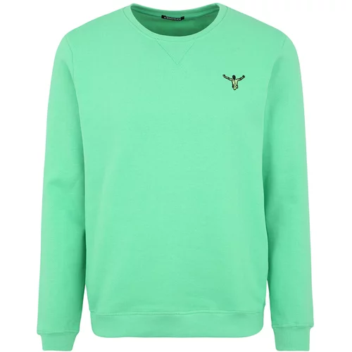 CHIEMSEE Sportska sweater majica 'Eagle Rock' žuta / zelena / crna