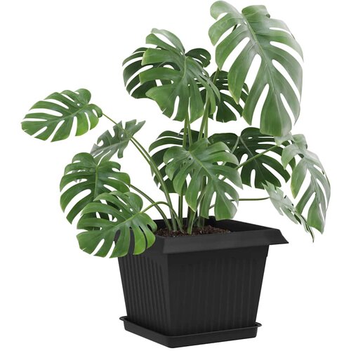  Kvadratna posuda za cvijeće 24 pcs Crna 18 x 18 x 2 cm Plastika Slike