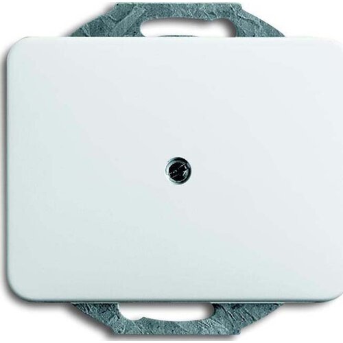 Busch-Jaeger Centralni disk sws 1742-24G, (20891920) Cene